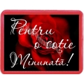 Magnet dedicatie Pentru o sotie minunata!